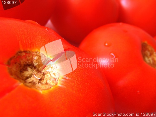 Image of Tomatoes