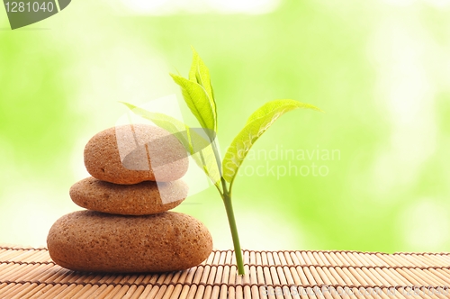 Image of zen stone with leaf