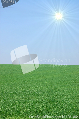 Image of green landscape