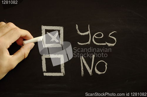 Image of vote yes or no