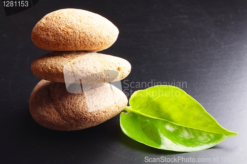 Image of zen still life