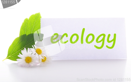 Image of ecology