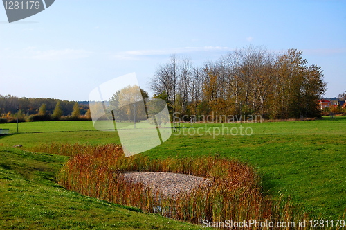 Image of fall in the park with green trees under blue sky