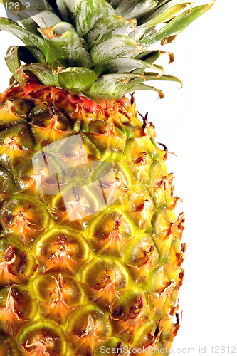 Image of Pineapple