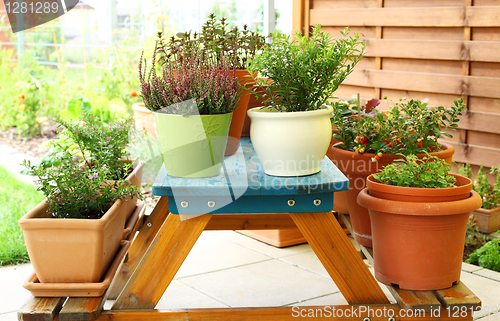 Image of Outdoor flower pots