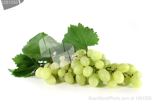 Image of grapes