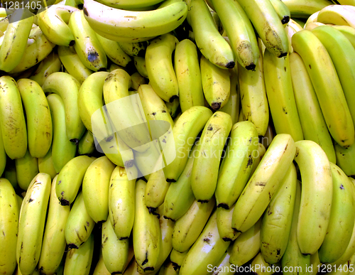 Image of Bananas Bunches