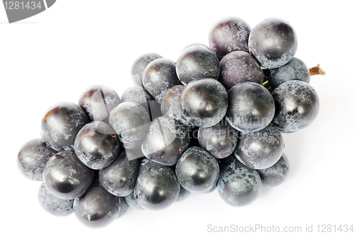 Image of Grapes