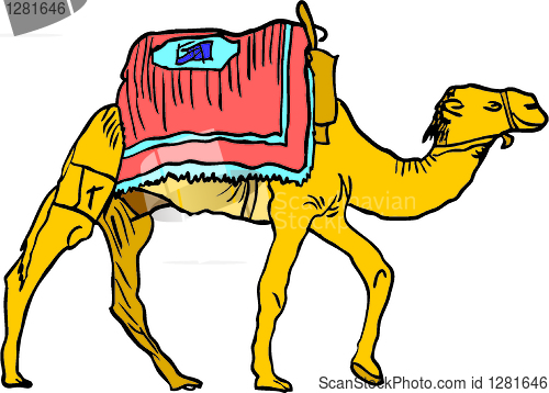 Image of camel in colors