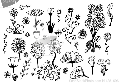 Image of hand drawn flowers