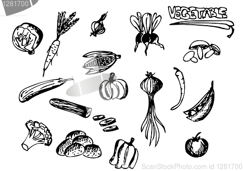 Image of hand drawn vegetables