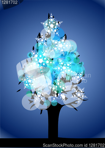 Image of christmas tree in winter