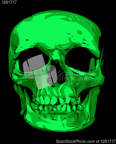 Image of human skull 