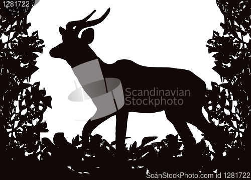 Image of Kudu (Koedoe) in Isolated Bush Frame Vector