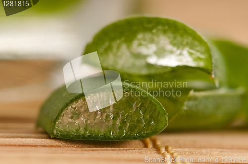 Image of aloe vera juice with fresh leaves