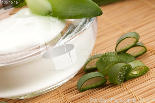 Image of aloe vera - leaves and face cream