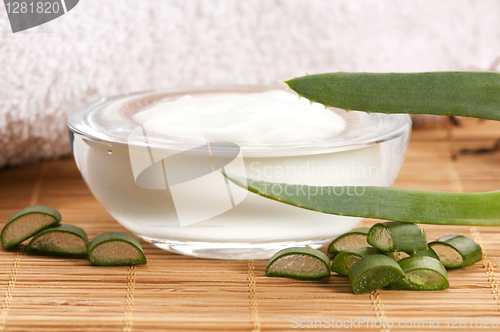 Image of aloe vera - leaves and face cream