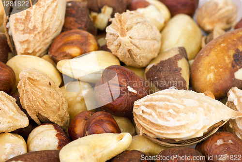 Image of Nuts background