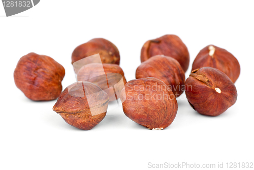 Image of Few roasted hazelnuts 
