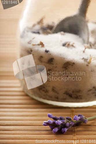 Image of Lavender Sugar