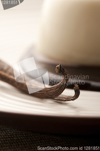 Image of Panna Cotta with chocolate and vanilla beans