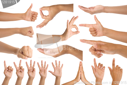 Image of woman hand gestures