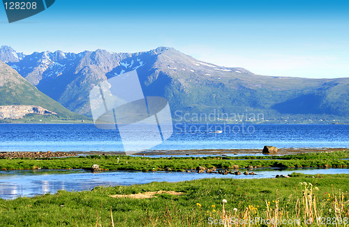 Image of Peaceful summer