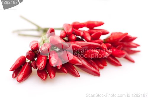 Image of Red Chilli Peppers