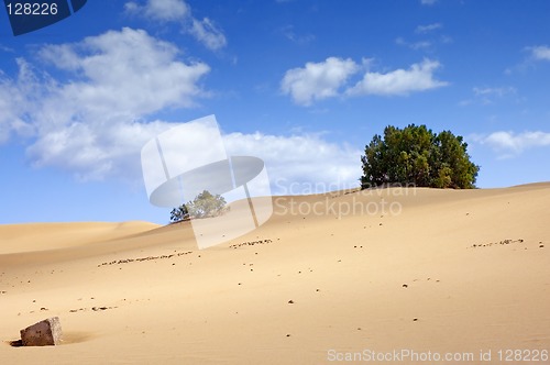 Image of View from the desert