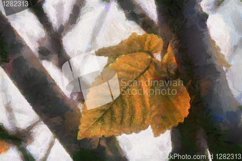 Image of Autumn Leaves