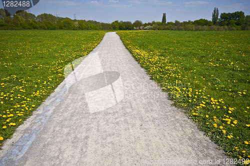 Image of Sunny Path 