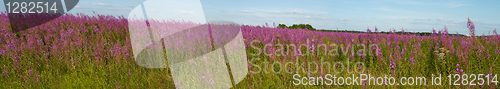Image of Beautiful panoramic field view