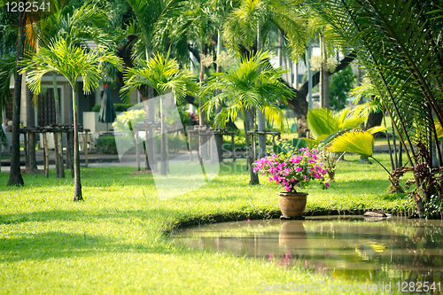 Image of Lumphini park