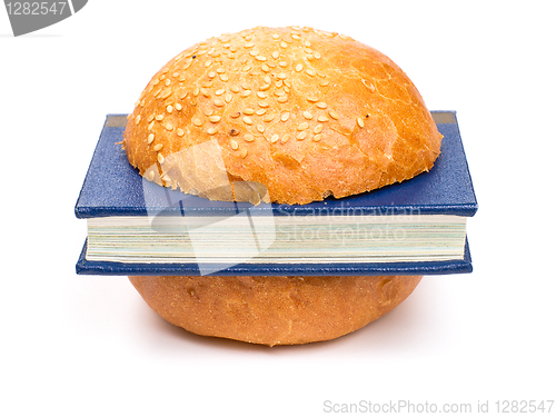 Image of Book-burger