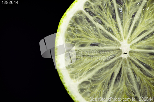 Image of A single slice of lime on black