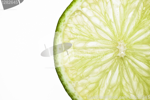 Image of A single slice of lime on white