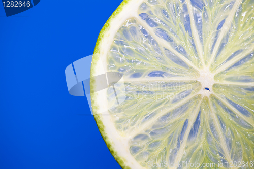Image of A single slice of lime on blue