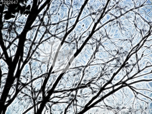 Image of Blurred Bare Winter Tree Illustrated Background