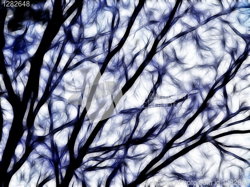Image of Blurred Bare Winter Tree Illustrated Background