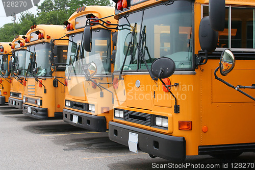 Image of School Buses