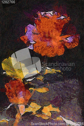 Image of Rose