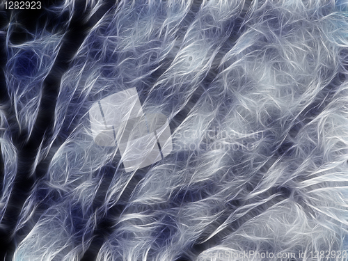 Image of Winter Tree Illustrated Background