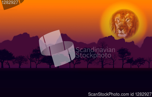 Image of African Sunset Lion and Mountain