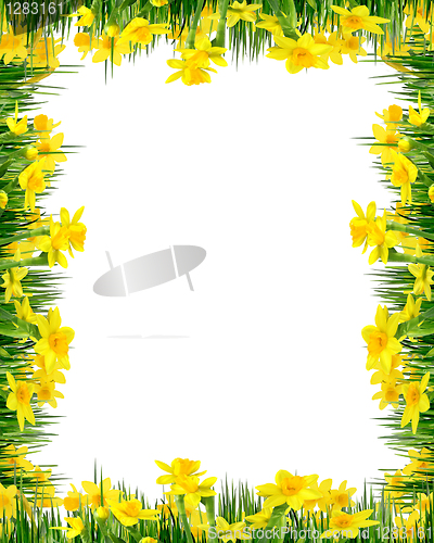 Image of Spring flowers and grass