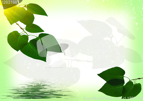 Image of Abstract are solar a summer background