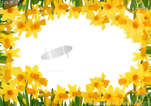 Image of Spring flowers and grass