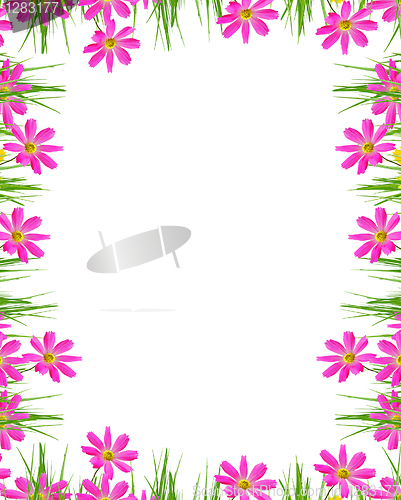 Image of Spring flowers