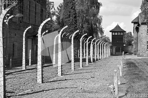 Image of Auschwitz Birkenau concentration camp.