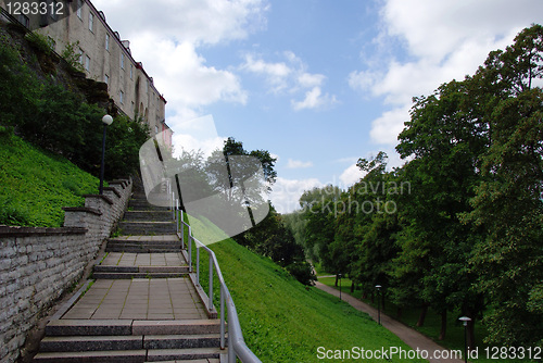 Image of The ladder