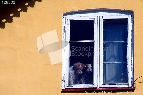 Image of spring behinde a window